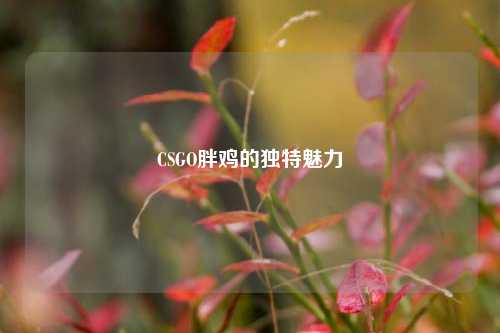 CSGO胖鸡的独特魅力