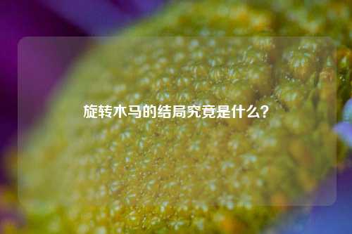 旋转木马的结局究竟是什么？