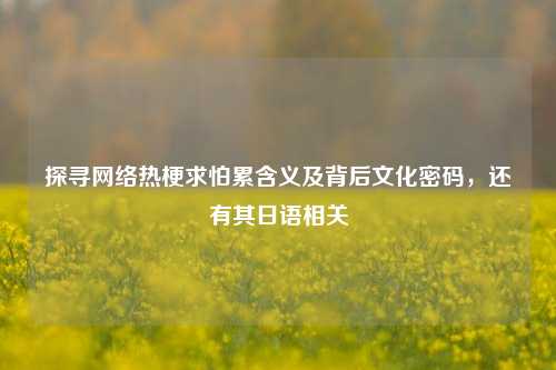 探寻网络热梗求怕累含义及背后文化密码，还有其日语相关