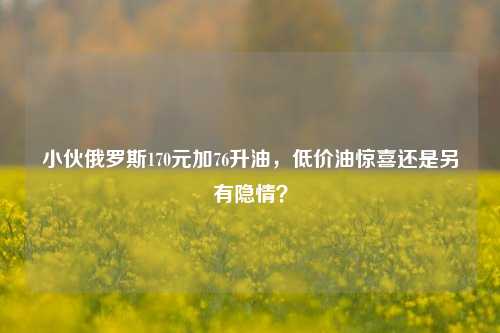 小伙俄罗斯170元加76升油，低价油惊喜还是另有隐情？