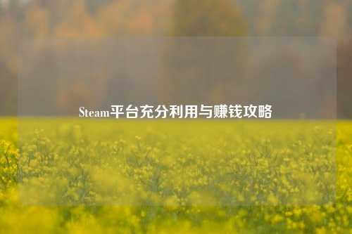 Steam平台充分利用与赚钱攻略