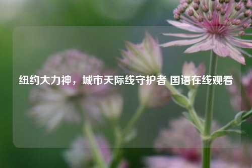 纽约大力神，城市天际线守护者 国语在线观看