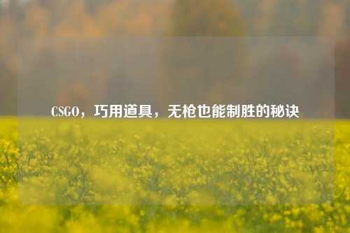 CSGO，巧用道具，无枪也能制胜的秘诀