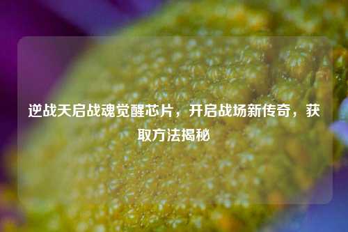 逆战天启战魂觉醒芯片，开启战场新传奇，获取方法揭秘