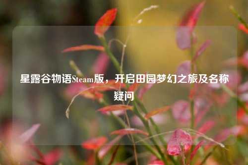 星露谷物语Steam版，开启田园梦幻之旅及名称疑问
