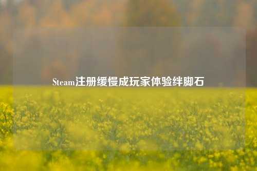 Steam注册缓慢成玩家体验绊脚石