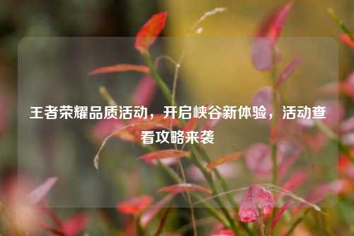 王者荣耀品质活动，开启峡谷新体验，活动查看攻略来袭