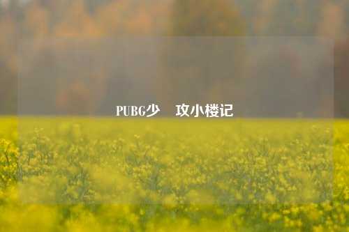 PUBG少囧攻小楼记