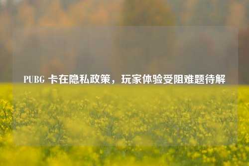 PUBG 卡在隐私政策，玩家体验受阻难题待解