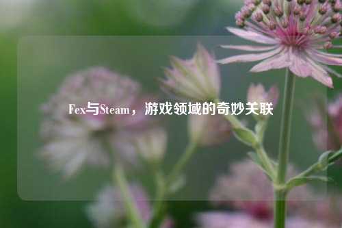 Fex与Steam，游戏领域的奇妙关联