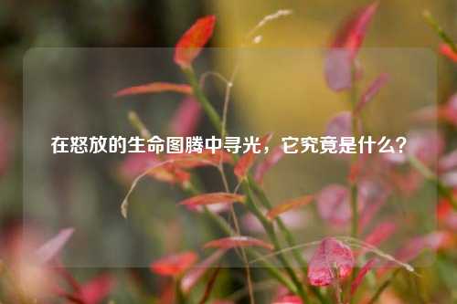 在怒放的生命图腾中寻光，它究竟是什么？