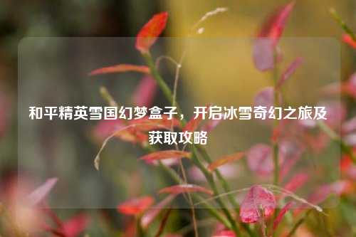 和平精英雪国幻梦盒子，开启冰雪奇幻之旅及获取攻略
