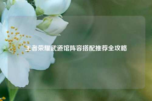 王者荣耀武道馆阵容搭配推荐全攻略