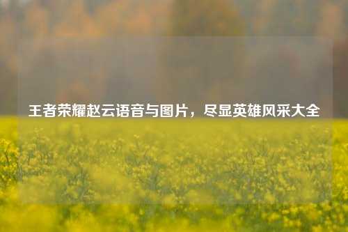 王者荣耀赵云语音与图片，尽显英雄风采大全