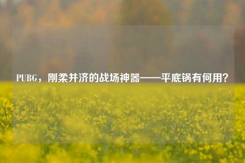 PUBG，刚柔并济的战场神器——平底锅有何用？