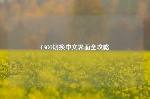 CSGO切换中文界面全攻略