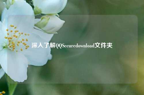深入了解QQSecuredownload文件夹
