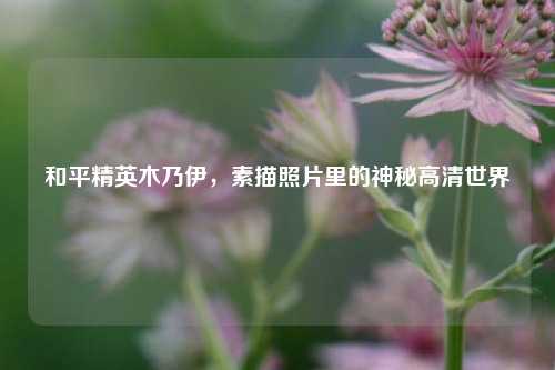 和平精英木乃伊，素描照片里的神秘高清世界