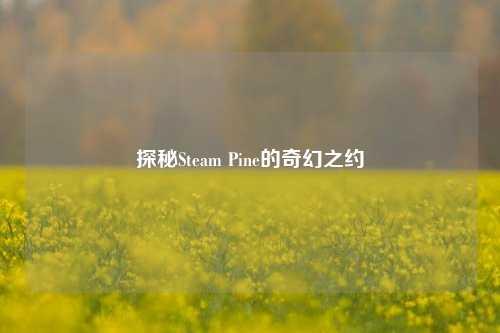 探秘Steam Pine的奇幻之约