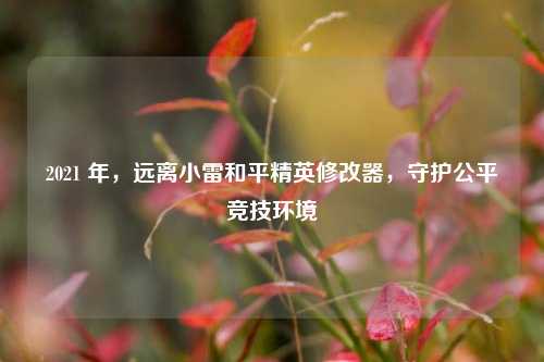 2021 年，远离小雷和平精英修改器，守护公平竞技环境