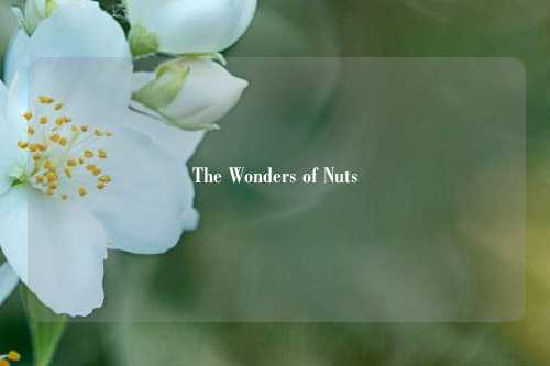 The Wonders of Nuts