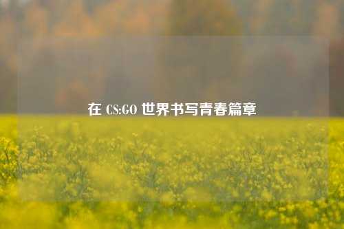 在 CS:GO 世界书写青春篇章