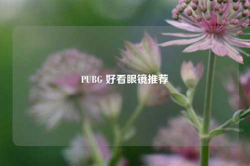 PUBG 好看眼镜推荐