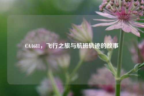 CA4681，飞行之旅与航班轨迹的故事