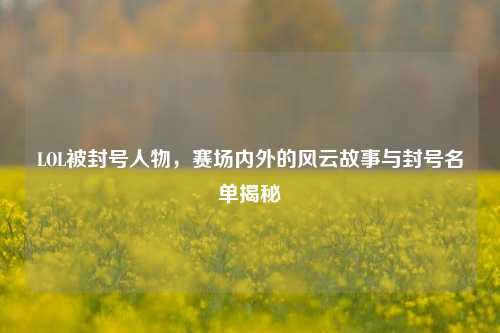 LOL被封号人物，赛场内外的风云故事与封号名单揭秘