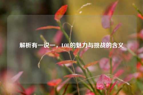 解析有一说一，LOL的魅力与挑战的含义
