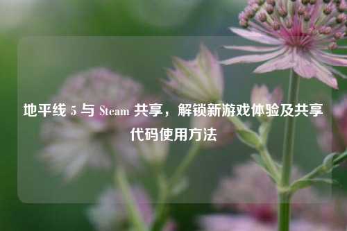 地平线 5 与 Steam 共享，解锁新游戏体验及共享代码使用方法