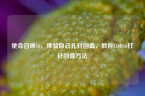 使命召唤16，体验自己扎针回血，教你COD16打针回血方法