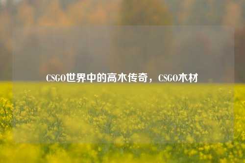 CSGO世界中的高木传奇，CSGO木材