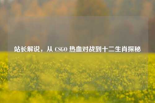 站长解说，从 CSGO 热血对战到十二生肖探秘