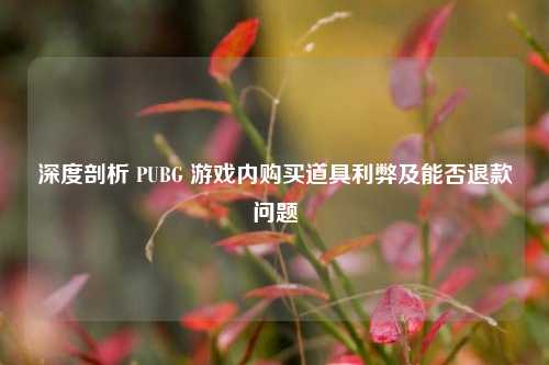 深度剖析 PUBG 游戏内购买道具利弊及能否退款问题