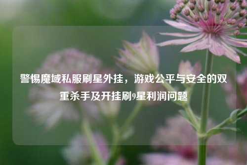 警惕魔域私服刷星外挂，游戏公平与安全的双重杀手及开挂刷9星利润问题