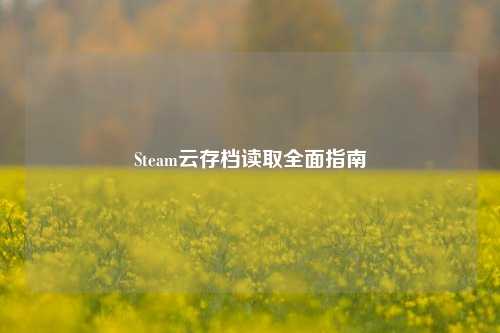Steam云存档读取全面指南
