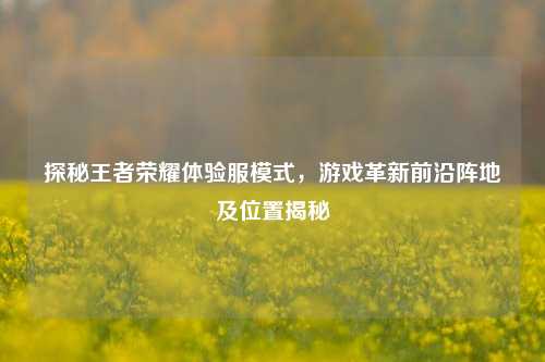 探秘王者荣耀体验服模式，游戏革新前沿阵地及位置揭秘