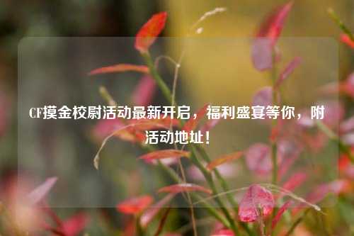 CF摸金校尉活动最新开启，福利盛宴等你，附活动地址！