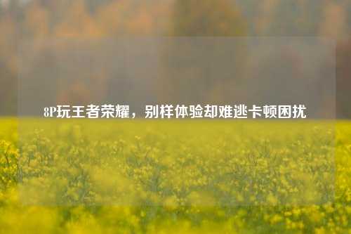 8P玩王者荣耀，别样体验却难逃卡顿困扰