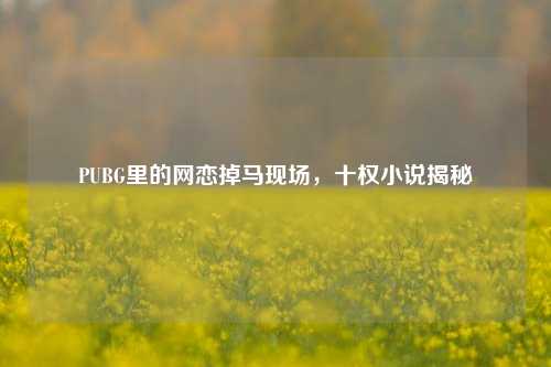 PUBG里的网恋掉马现场,十权小说揭秘