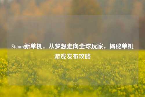 Steam新单机，从梦想走向全球玩家，揭秘单机游戏发布攻略