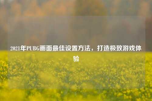 2021年PUBG画面最佳设置方法，打造极致游戏体验