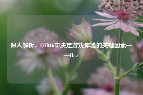 深入解析，COD16中决定游戏体验的关键因素——Host