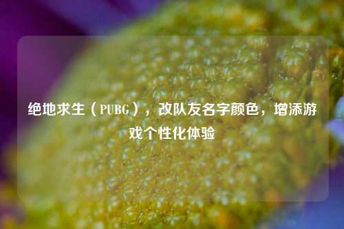 绝地求生（PUBG），改队友名字颜色，增添游戏个性化体验
