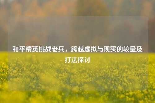 和平精英挑战老兵，跨越虚拟与现实的较量及打法探讨