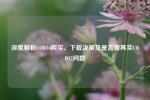 深度解析COD16购买、下载决策及是否需再买COD17问题