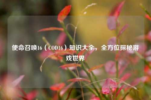 使命召唤16（COD16）知识大全，全方位探秘游戏世界