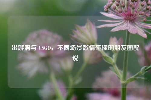 出游照与 CSGO，不同场景激情碰撞的朋友圈配说