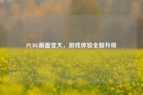 PUBG画面变大，游戏体验全新升级